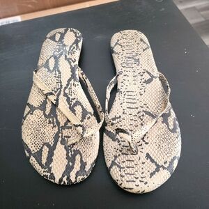 Yosi Samra | Thong Sandals - Size 5